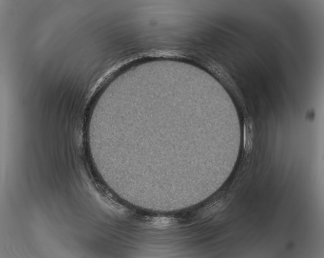 X0000115200204200912091142