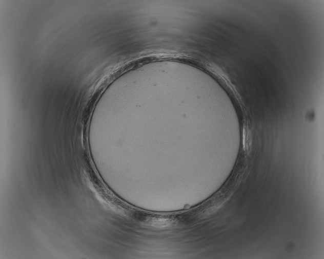 X0000115200205200912091142