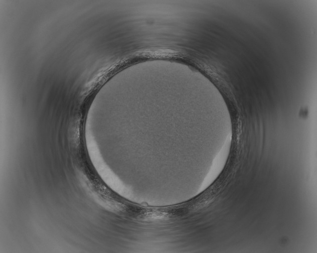 X0000115200206200912091142