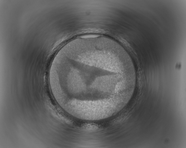 X0000115200207200912091142