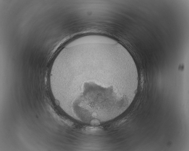 X0000115200208200912091142