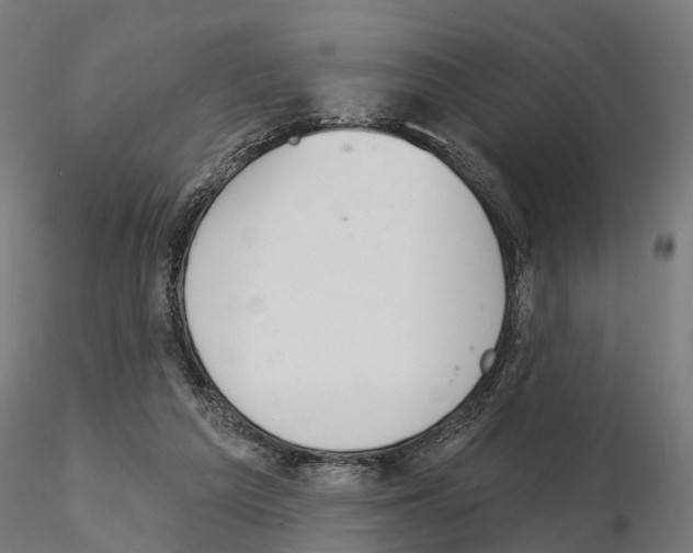 X0000115200209200912091142