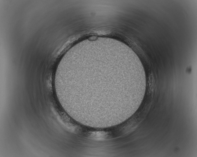 X0000115200212200912091142