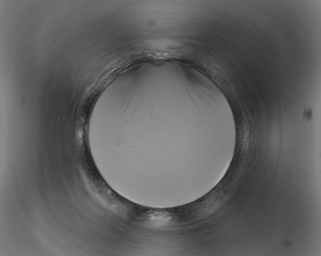 X0000115200214200912091142