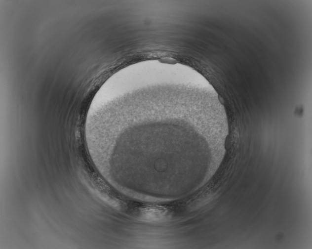 X0000115200215200912091142