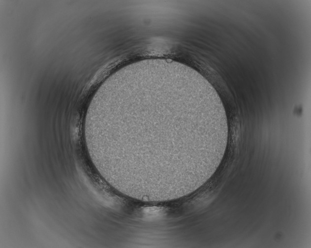 X0000115200216200912091142