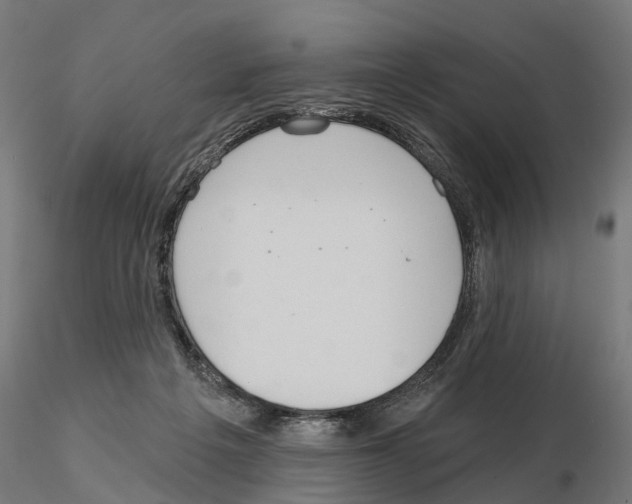 X0000115200217200912091142