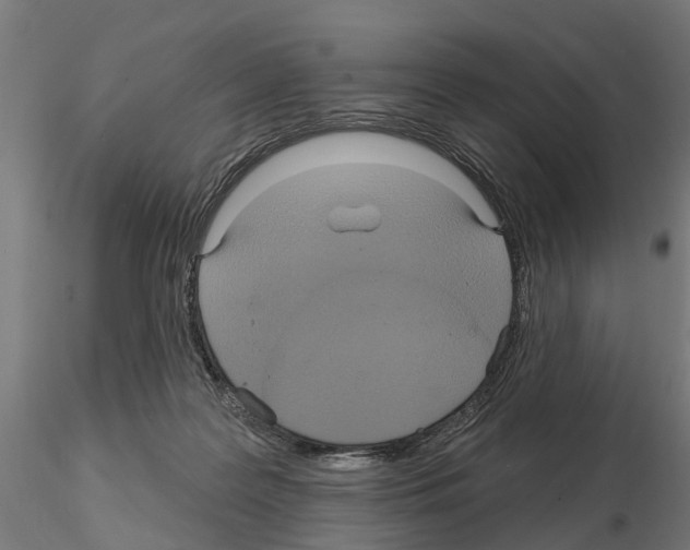 X0000115200219200912091142