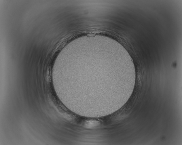 X0000115200220200912091142