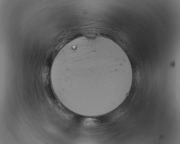 X0000115200222200912091142