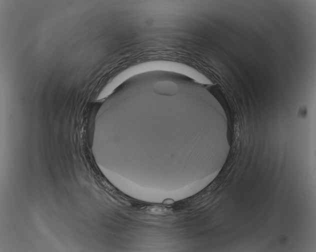 X0000115200223200912091142