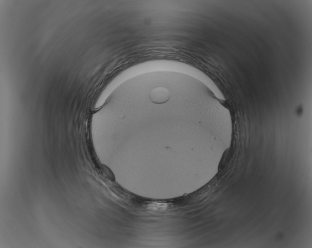 X0000115200227200912091142