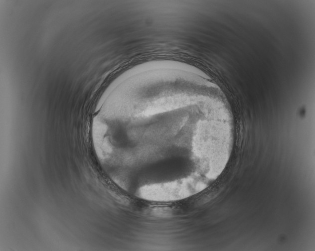 X0000115200228200912091142