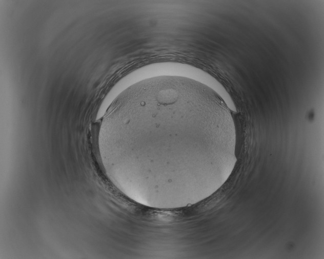 X0000115200229200912091142