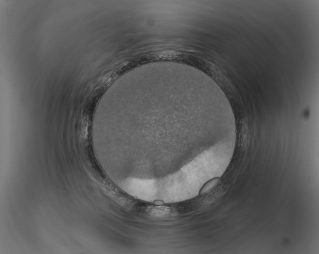 X0000115200230200912091142