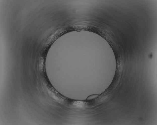 X0000115200231200912091142