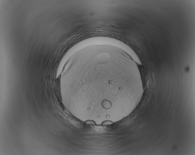 X0000115200233200912091142