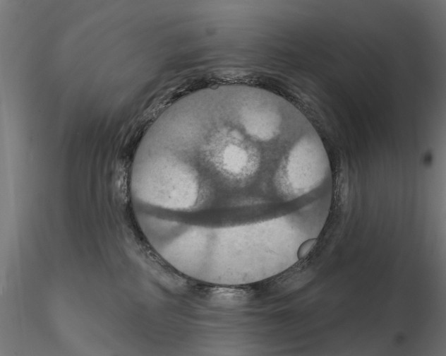 X0000115200234200912091142