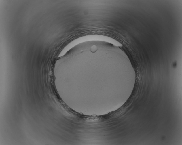 X0000115200235200912091142