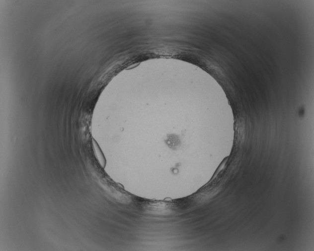 X0000115200237200912091142