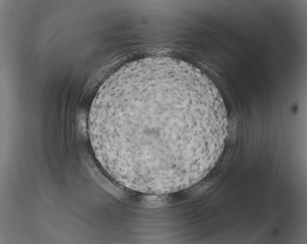 X0000115200238200912091142