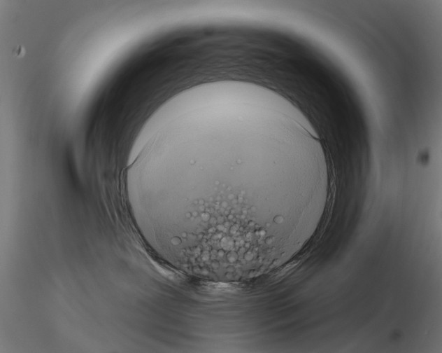 X0000115200239200912091142