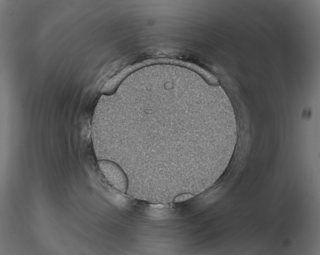 X0000115200240200912091142