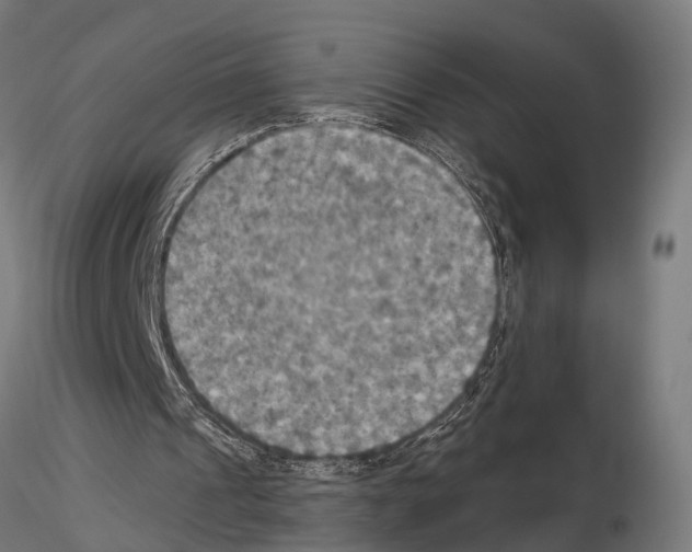 X0000115200241200912091141