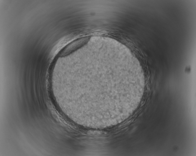 X0000115200242200912091141