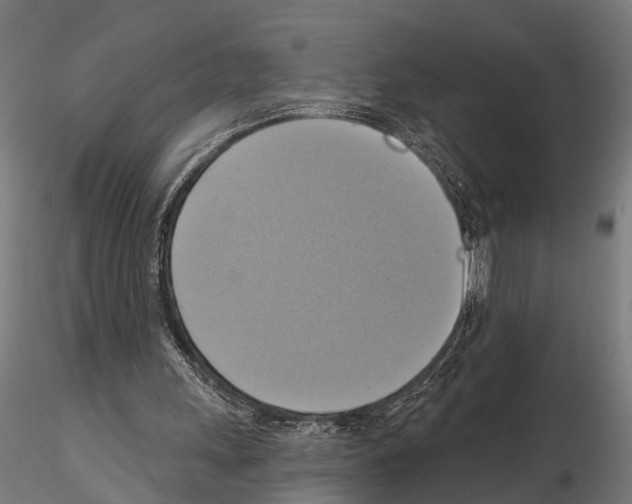 X0000115200243200912091141