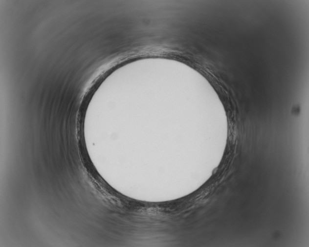 X0000115200244200912091141