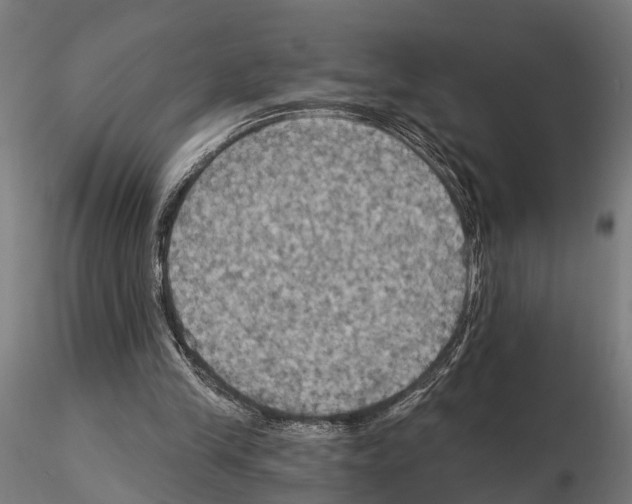 X0000115200245200912091141