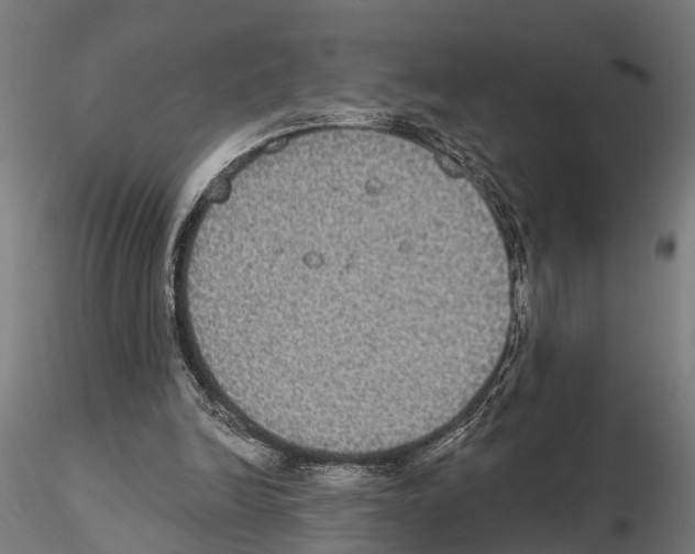 X0000115200246200912091141