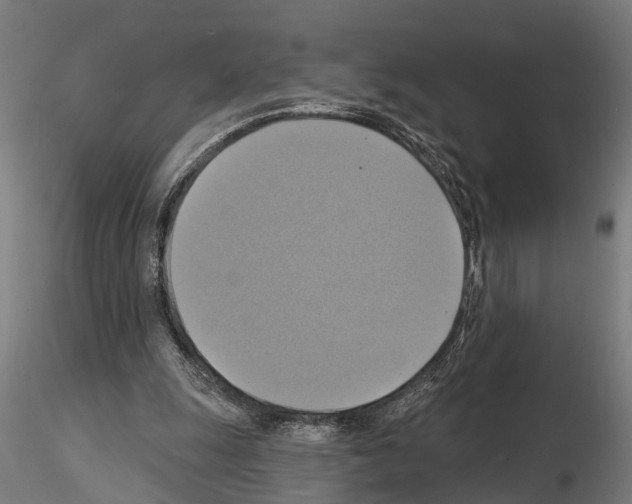 X0000115200247200912091141