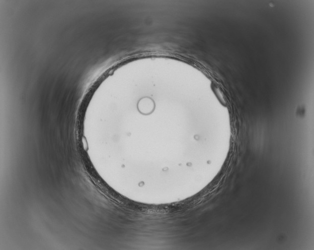 X0000115200248200912091141