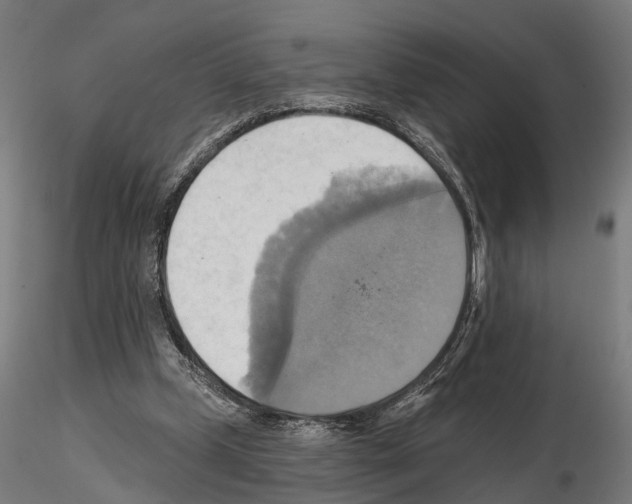 X0000115200249200912091141