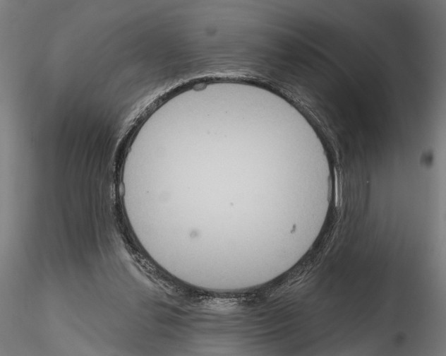 X0000115200252200912091141