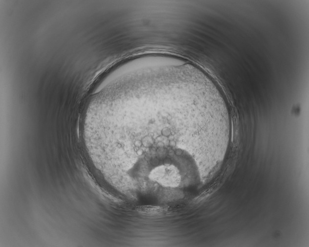 X0000115200253200912091141