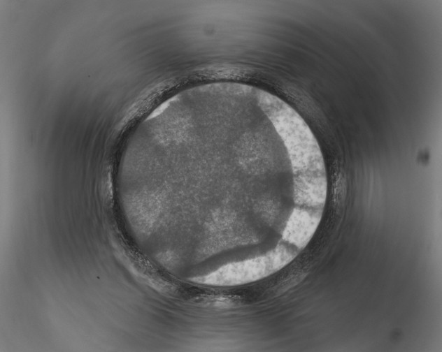 X0000115200254200912091141