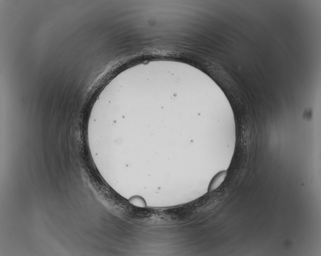 X0000115200256200912091141