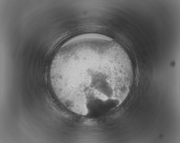 X0000115200258200912091141