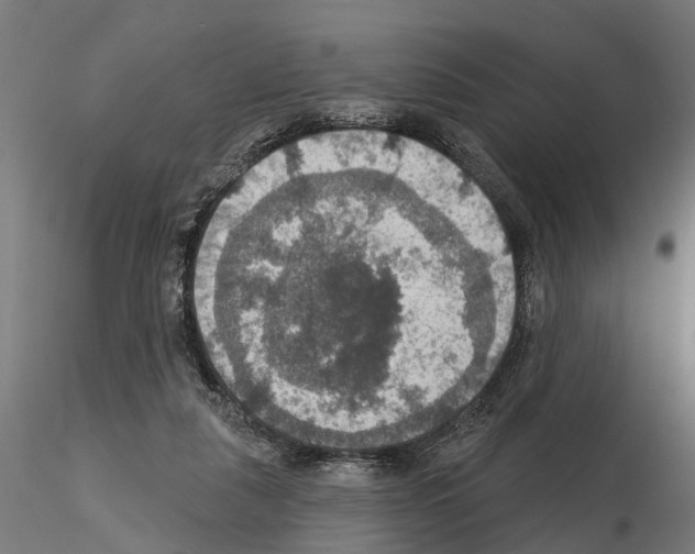 X0000115200259200912091141