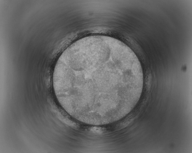 X0000115200261200912091141