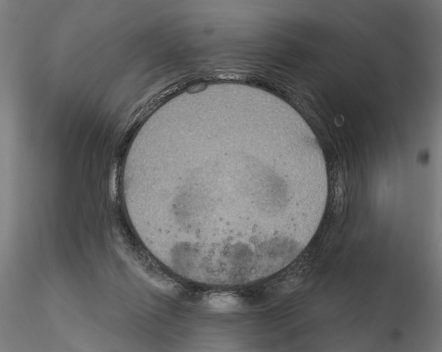 X0000115200262200912091141