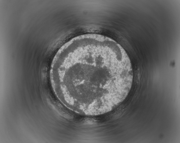 X0000115200263200912091141