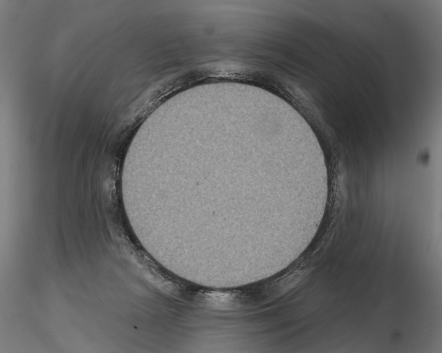 X0000115200265200912091141