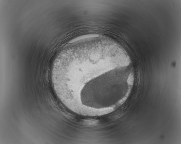 X0000115200266200912091141