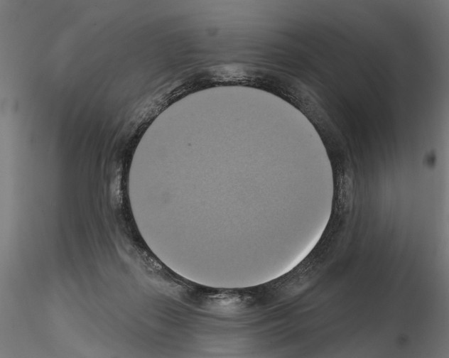 X0000115200267200912091141