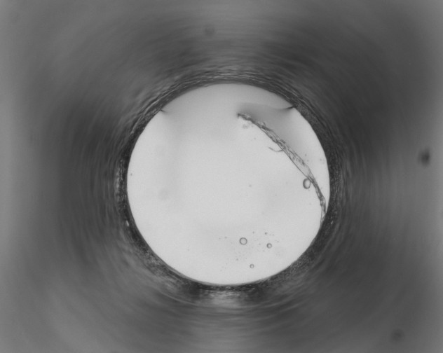 X0000115200268200912091141