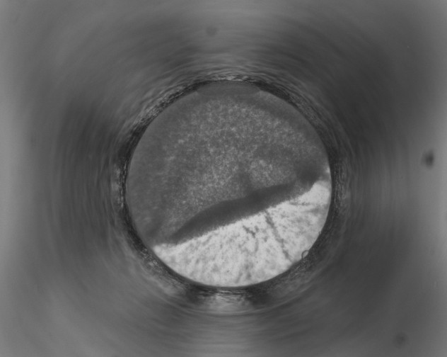 X0000115200270200912091141